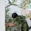 소일비스튜디오