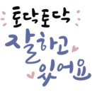 새하늘어린이집 이미지