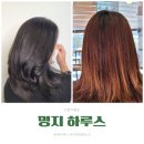 헤어살롱하루스 명지점