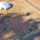 정자나무공원 이미지