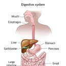 소화약국 이미지