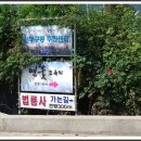선동마을회관 Daum카페