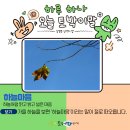 하늘마음 이미지