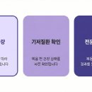 참다이어트