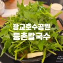 등촌샤브칼국수 광교호수공원점 | [광교호수공원 맛집] 등촌샤브칼국수 광교호수공원점 내돈내산 주말 저녁 방문후기 (+주차)