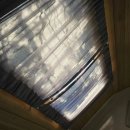 캠핑 앨리스 이미지