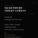 돈돈아 Daum카페