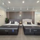 씰리침대 - 김포시 태장로 741 | 씰리침대