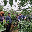 정지로2 이미지