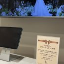 울산 르엘컨벤션 27년 하반기 견적서 공유 홀투어 후기