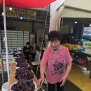 대종농장 이미지