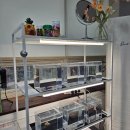 샤론의원 | 목포 하당 네일샵 추천 샤론네일