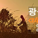 광성바이크 이미지