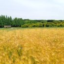 삼천리목장 이미지