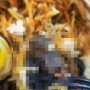 유한식당 이미지