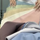 우송대학교 | 🎨 우송대학교 퍼스널컬러 진단 후기 | 가을 뮤트톤 🍂