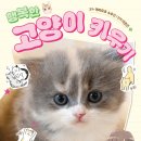 행복한 고양이 이미지
