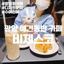 광영스파렉스 | 광양 애견 동반 카페 디저트 맛집 광영동 비제스코 라떼 맛집