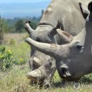 코뿔소공인중개사사무소 이미지