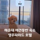 해운대로 | 부산 해운대 애견동반 가성비 호텔 영무파라드 디럭스 트윈 예약 후기
