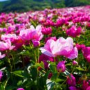 보현산2농장 이미지