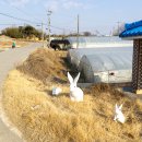 방축1리 이미지