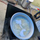 용현1호공원(향남1호) 배드민턴장 | 화성향남화성다솜봉사회짜장면콩국수무료나눔봉사