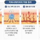 단대오거리역 네이버블로그