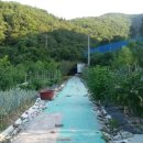 다래농장2 이미지