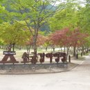 소금강자동차야영장 이미지