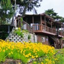 낙동놀자 이미지