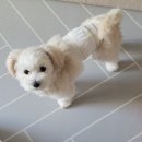 만세동물병원 이미지