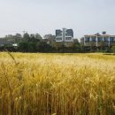 그여름애월바다 이미지