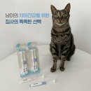 낭콩댁의 신나는몰