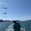 리본약국 이미지