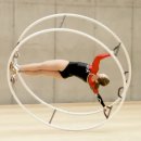 휠체조 [Wheel gymnastics (독일명: Rhönradturnen)] 이미지