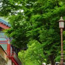 응봉공원4 이미지