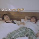 강아지 꼬순내 이미지