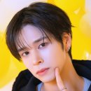 세림 디스패치