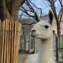 서울대공원 이미지