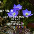 행복한하루 이미지