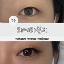 고읍남로 | 양주 속눈썹 맛집 리에라뷰티｜속눈썹 연장 솔직 후기