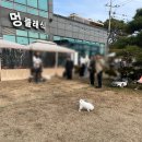 해피한 멍 이미지