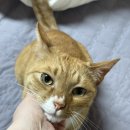 (주)피피엠 이미지