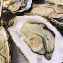 조리사횟집 이미지