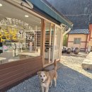 2083 | 포항 겨울 여행 애견동반 코스로 좋은 오어사 산책 후기