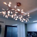 여주-0027 이미지