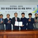 탑 태양광발전소 네이버블로그