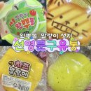 구리 선영문구유통｜하남 남양주 말랑이 성지 왁뿌볼·슬랑이 후기 (주차·영업시간)