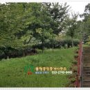 새아침공원(테니스장 옆) 이미지